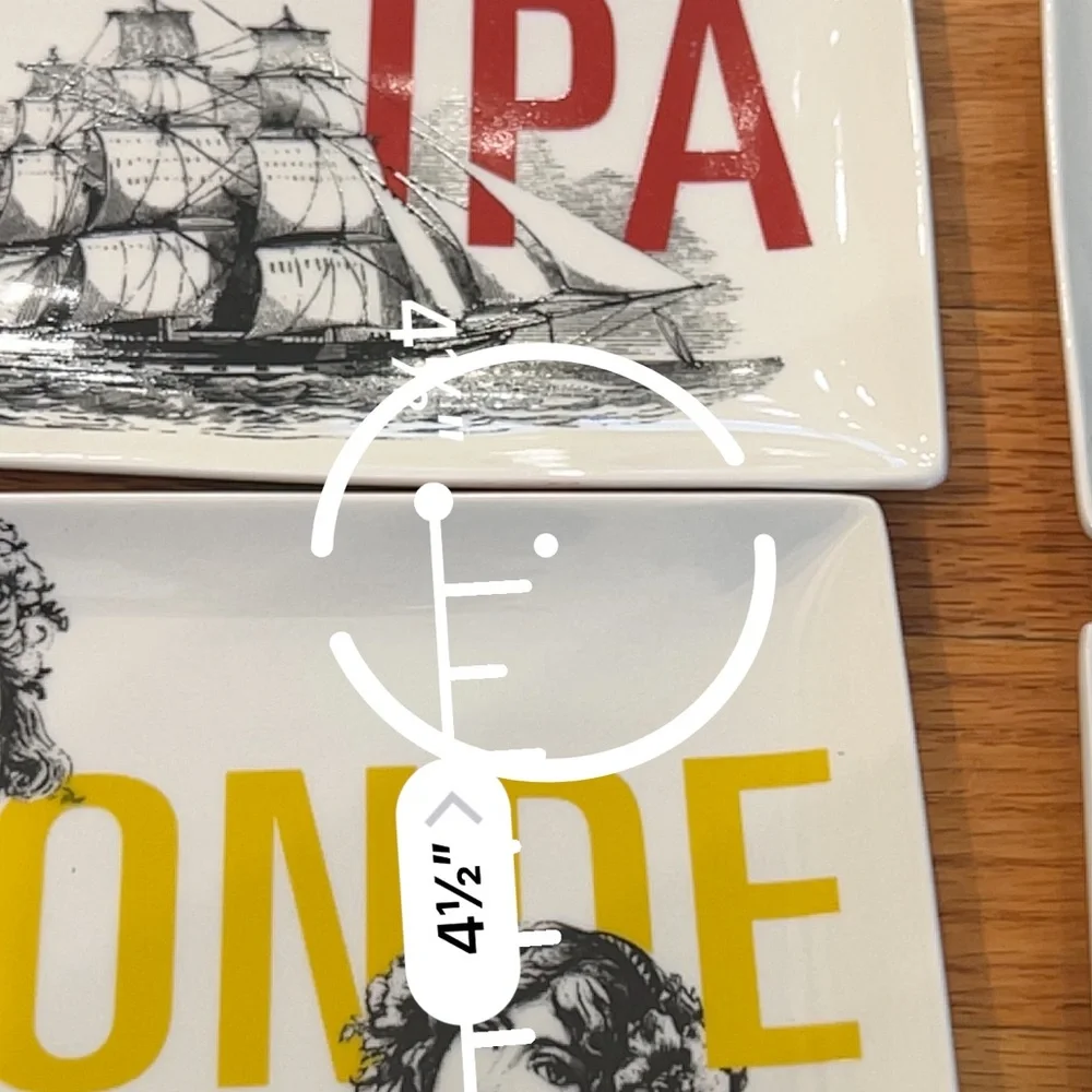 6 Crate & Barrel Bar Snack Plates IPA Stout Blonde Bock Lambic +
